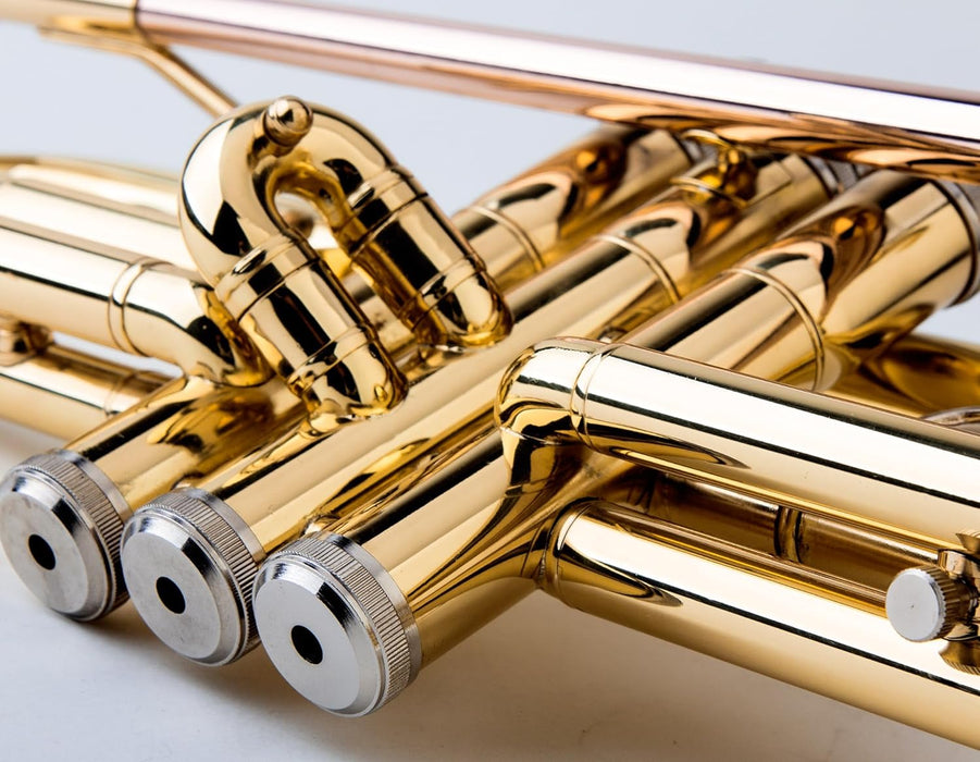 Glory Bb Trumpet - Trumpets for Beginner or Advanced Student with Case, pair of gloves-Gold