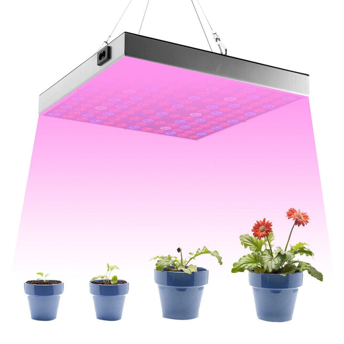 3000W LED Plants Grow Light Full Spectrum Indoor Veg Flower Lamp Hydroponic