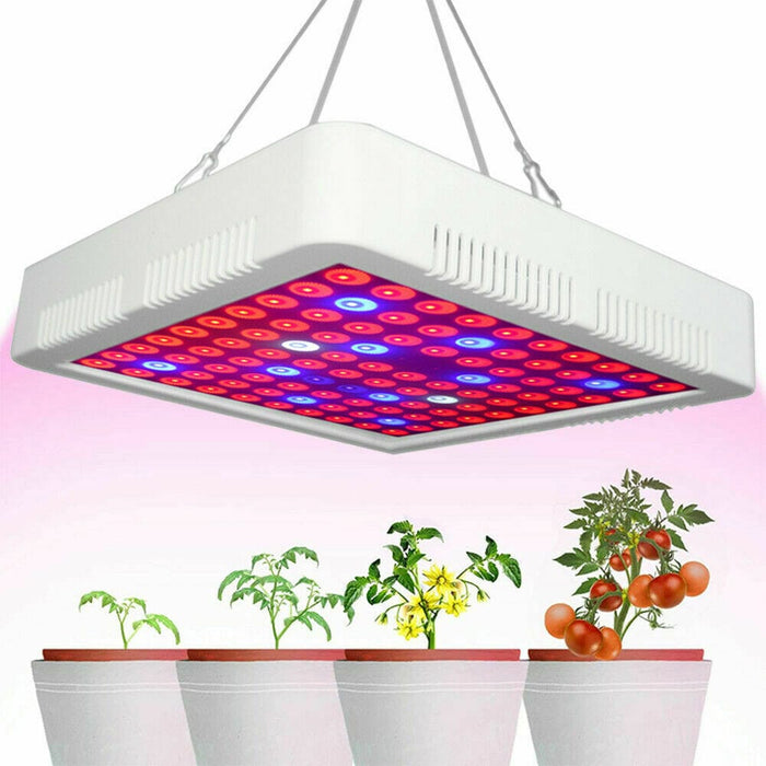 Dimmable 5000W LED Grow Light Full Spectrum for Plants Veg Bloom Flower SMD UV