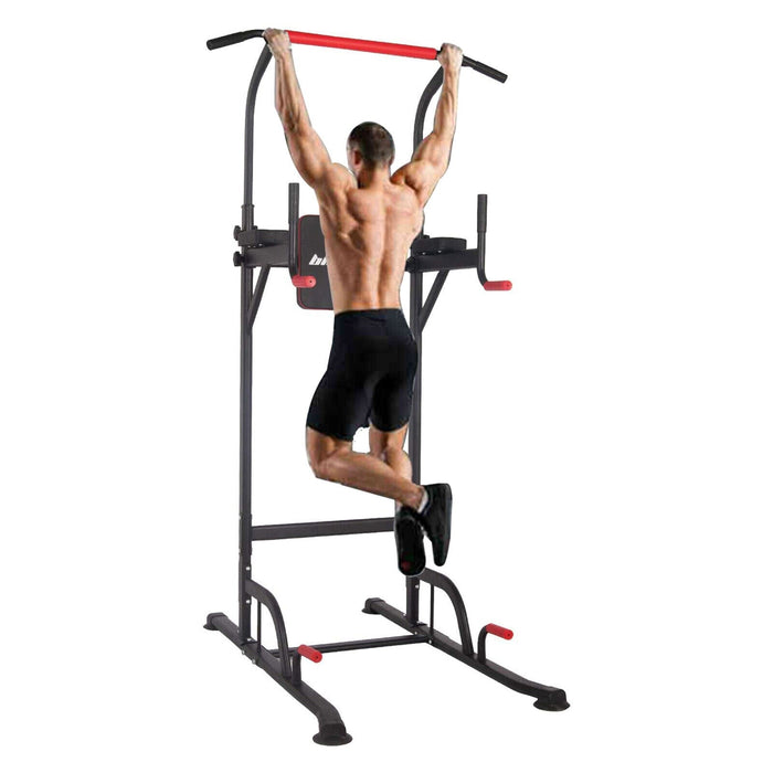 Polar Aurora Power Tower Workout Dip Station Pull Up Dip Exercise Equipment