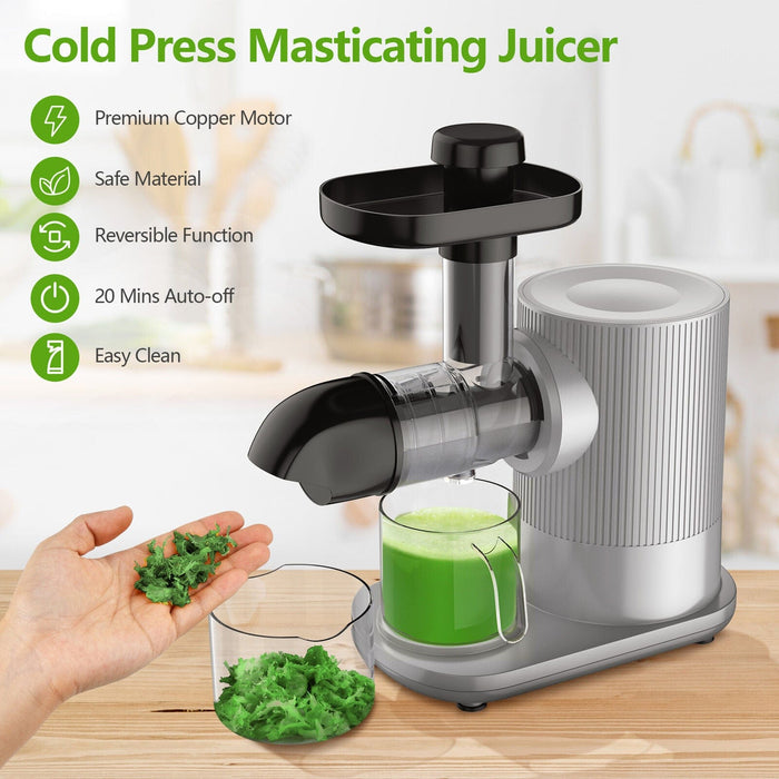 Horizontal Juicer Machine Cold Press Slow Masticating Juice Extractor Silver